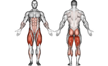какие мышцы качаются при приседании у мужчин